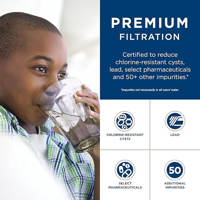 General Electric RPWFE Refrigerator Water Filter (2-Pack)