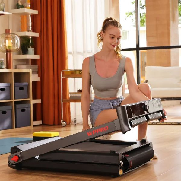 KINGSMITH WALKINGPAD PRO