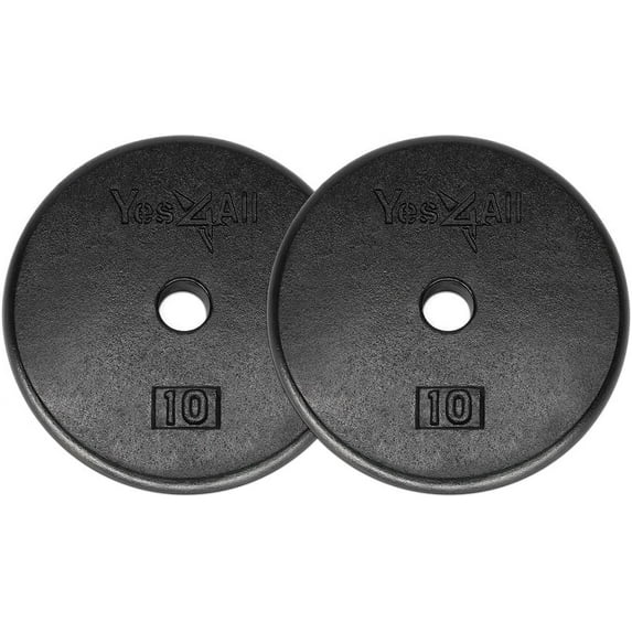 Yes4All 1-inch Cast Iron Weight Plates for Dumbbells – Standard Weight Disc Plates (10 lbs, Single)