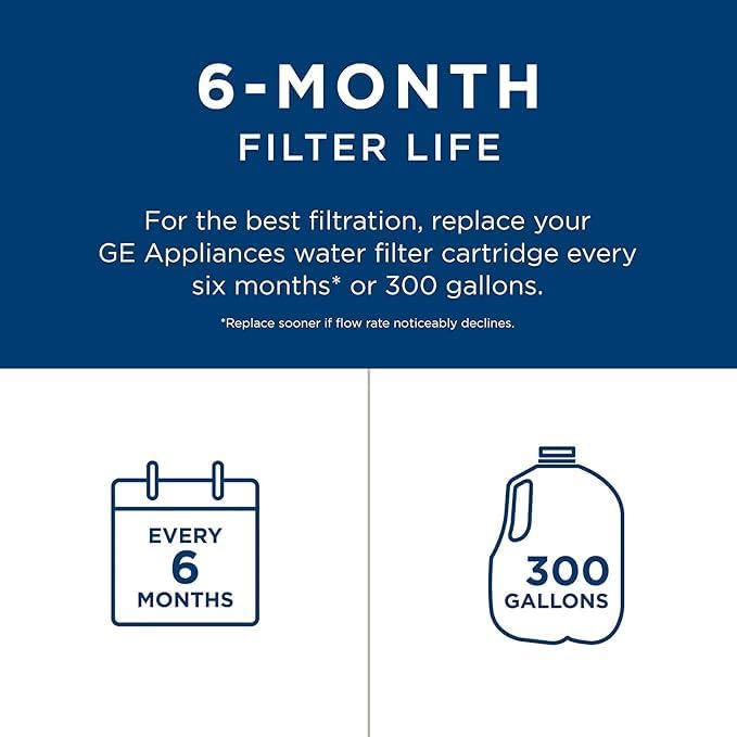 General Electric RPWFE Refrigerator Water Filter (2-Pack)