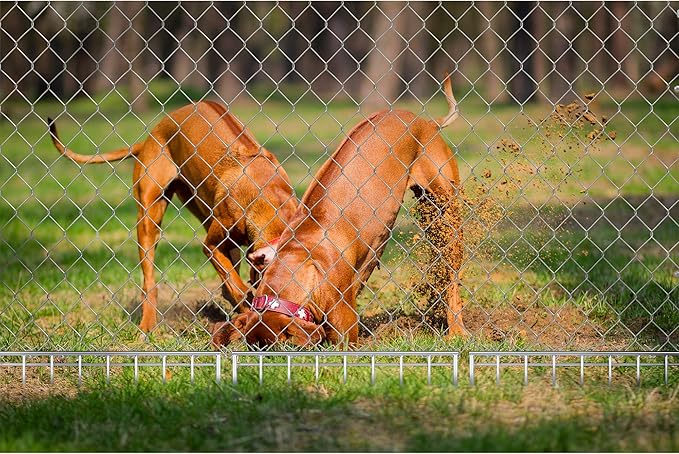Zinc-Coated GapGard Animal Dig Barrier 12-Pack