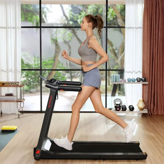 KINGSMITH WALKINGPAD PRO