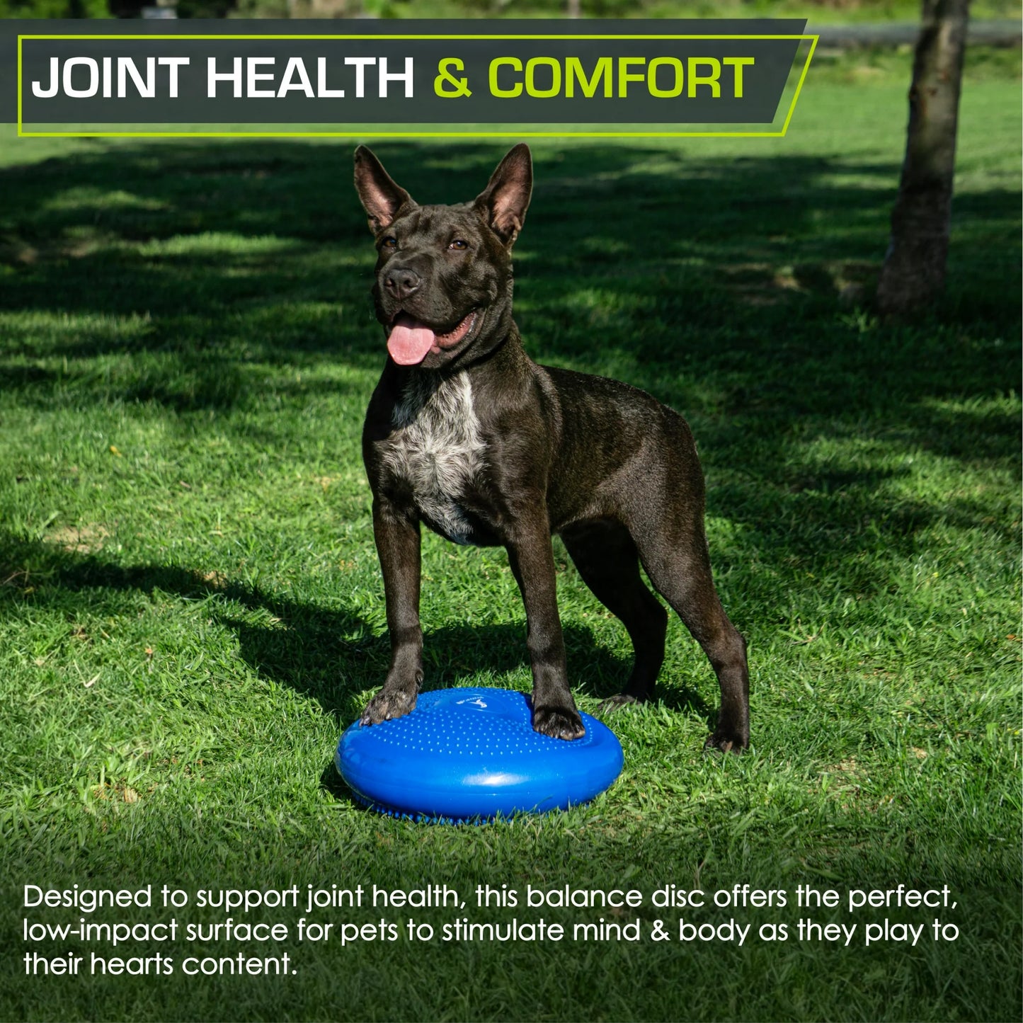 ProsourceFit Core Balance Disc Trainer, 14â€ Diameter with Pump for Improving Posture, Fitness, Stability, Blue